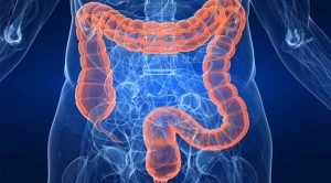 Scopri di più sull'articolo Proctologia