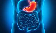 Scopri di più sull'articolo Gastrectomia