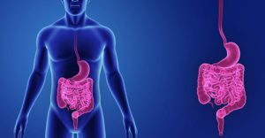 Scopri di più sull'articolo Chirurgia apparato digerente